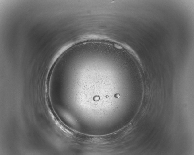 X0000080191287200612081417