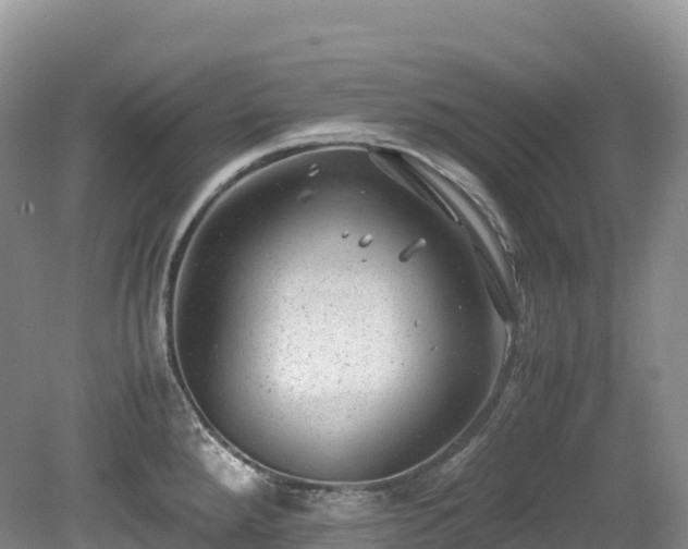 X0000080191288200612081417