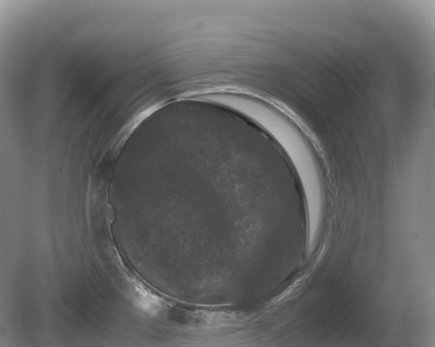 X0000080191289200612081417