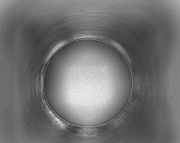 X0000080191290200612081417