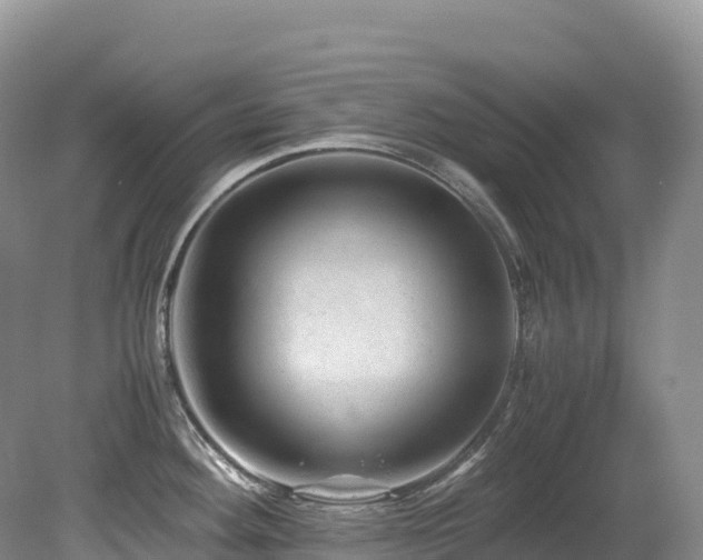 X0000080191292200612081417