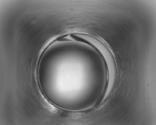 X0000080191293200612081417