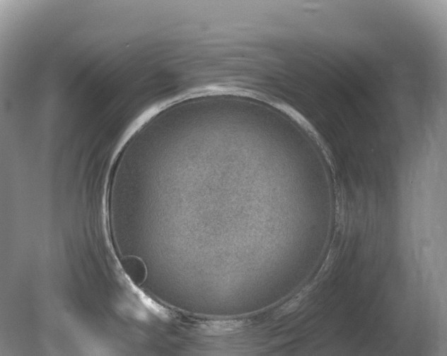 X0000080191294200612081417