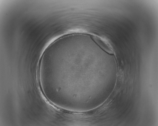 X0000080191295200612081417