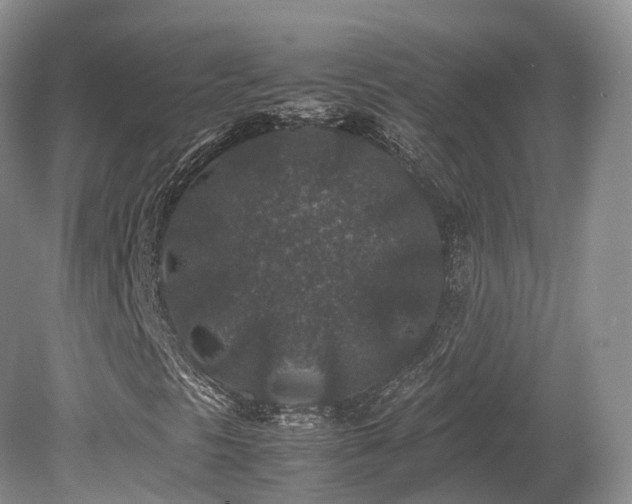 X0000080191297200612081416