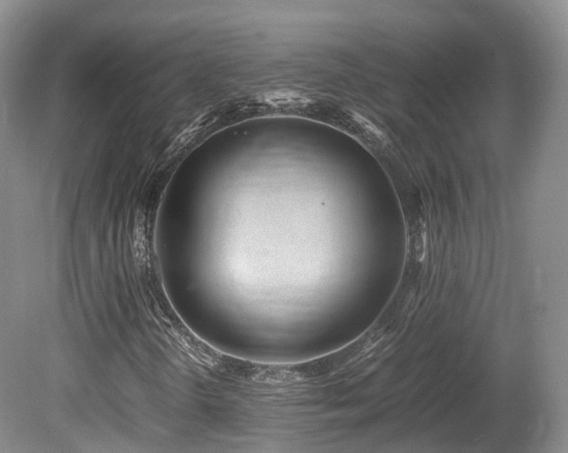 X0000080191298200612081416