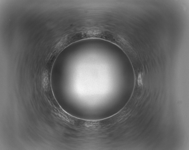 X0000080191299200612081417