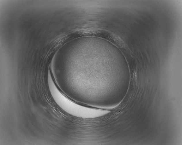 X0000080191300200612081417