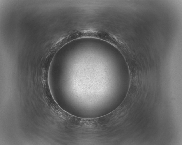 X0000080191301200612081417