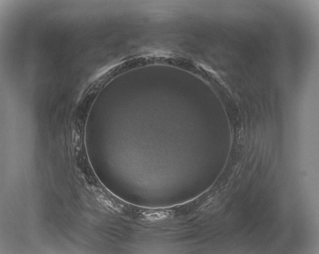 X0000080191303200612081417