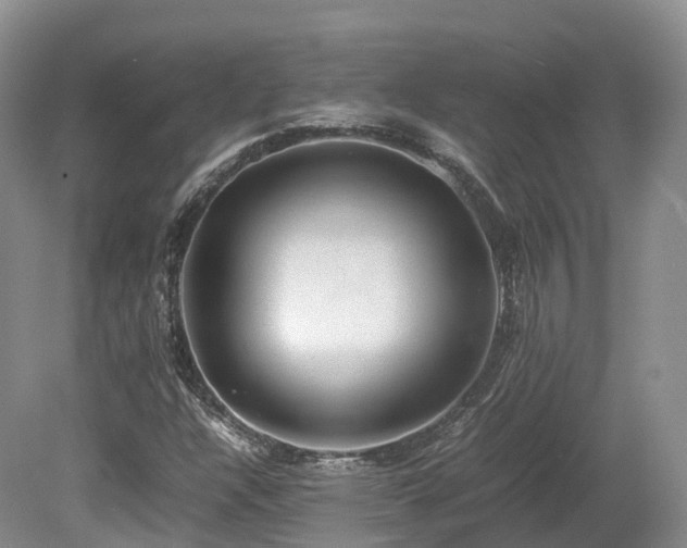 X0000080191304200612081417