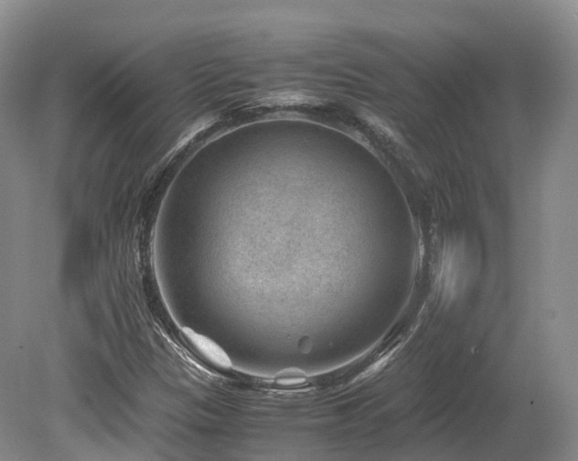 X0000080191305200612081417