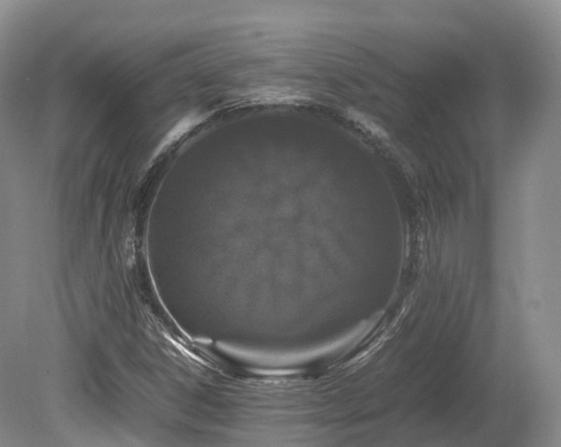 X0000080191306200612081417