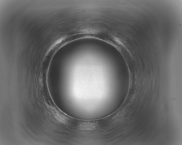 X0000080191307200612081417