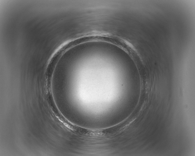 X0000080191310200612081417