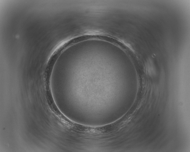 X0000080191311200612081417