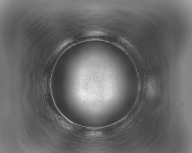X0000080191313200612081417