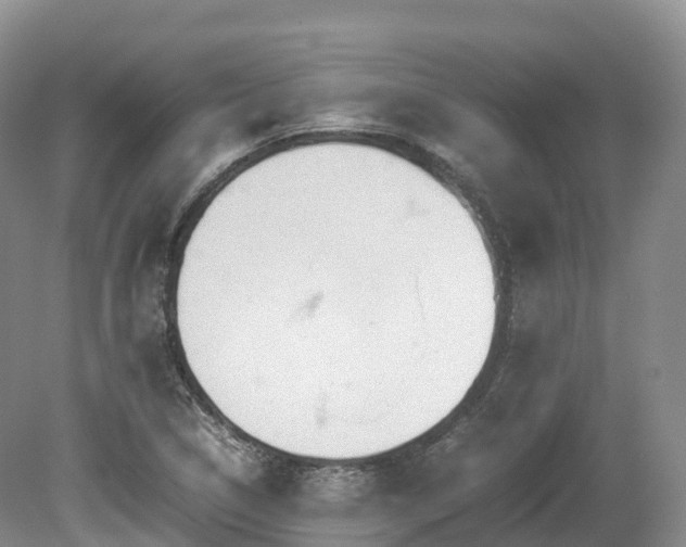 X0000080191314200612081417