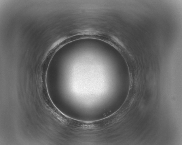 X0000080191315200612081417