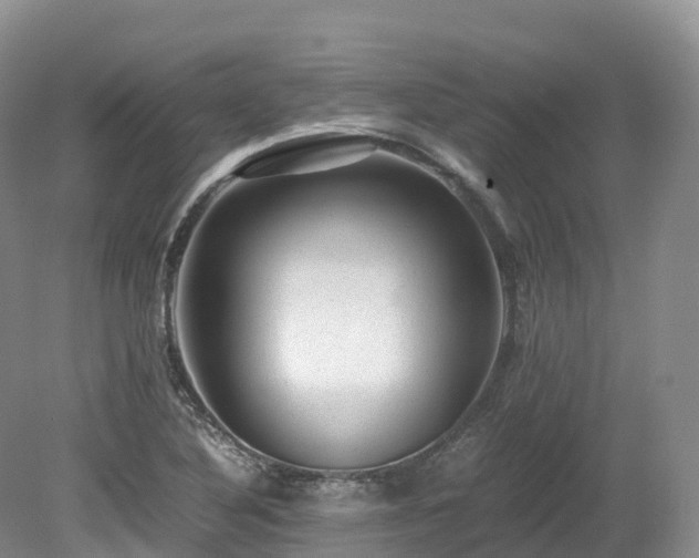 X0000080191316200612081417