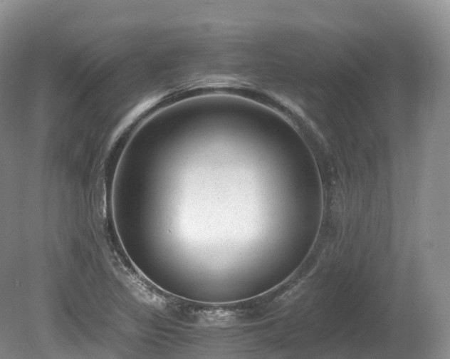 X0000080191317200612081417
