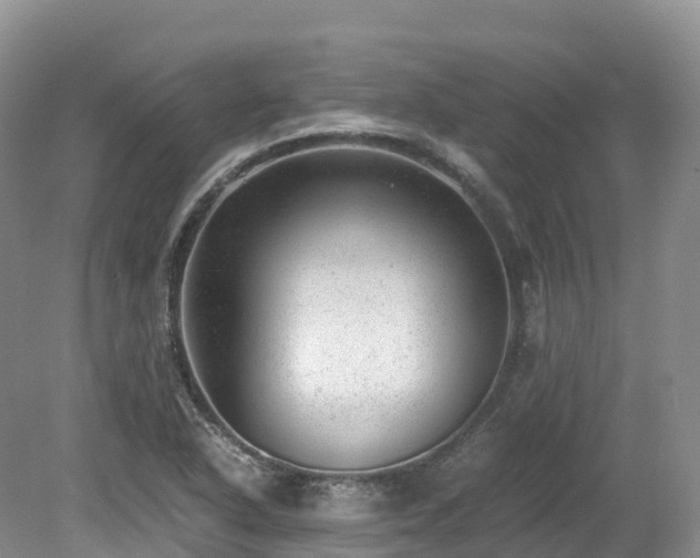 X0000080191318200612081417