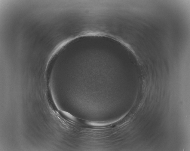 X0000080191319200612081417