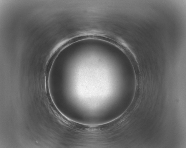 X0000080191320200612081417