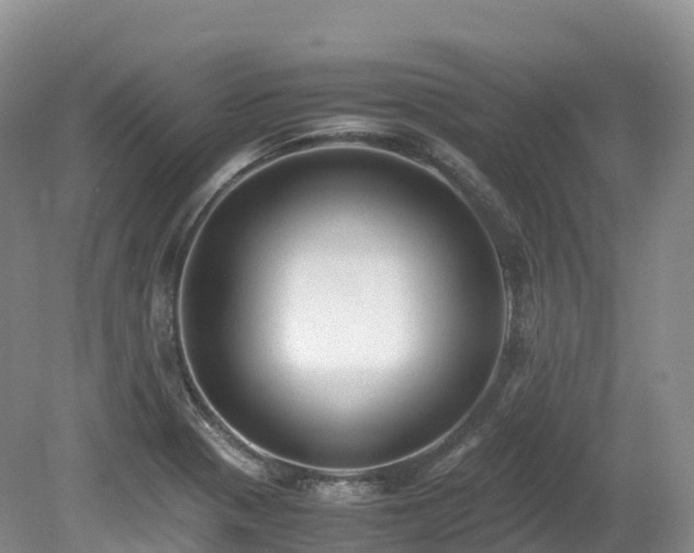 X0000080191321200612081417