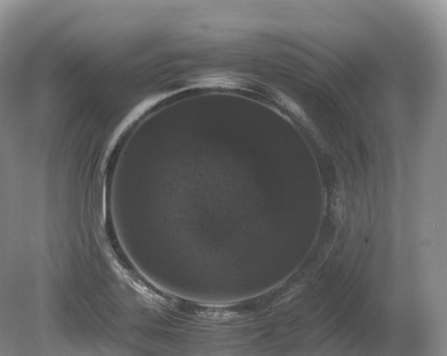 X0000080191323200612081417