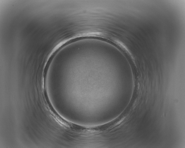 X0000080191324200612081417