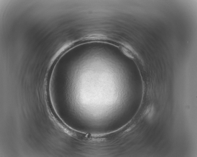 X0000080191325200612081417