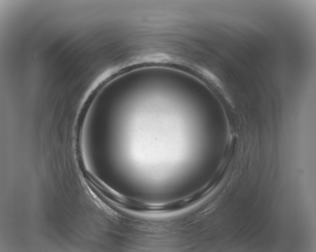 X0000080191326200612081417