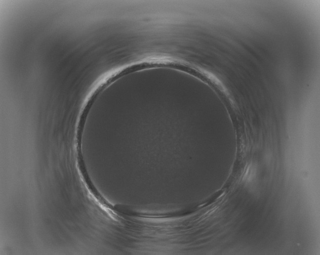 X0000080191327200612081417