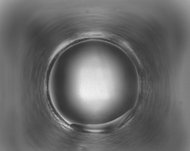 X0000080191328200612081417