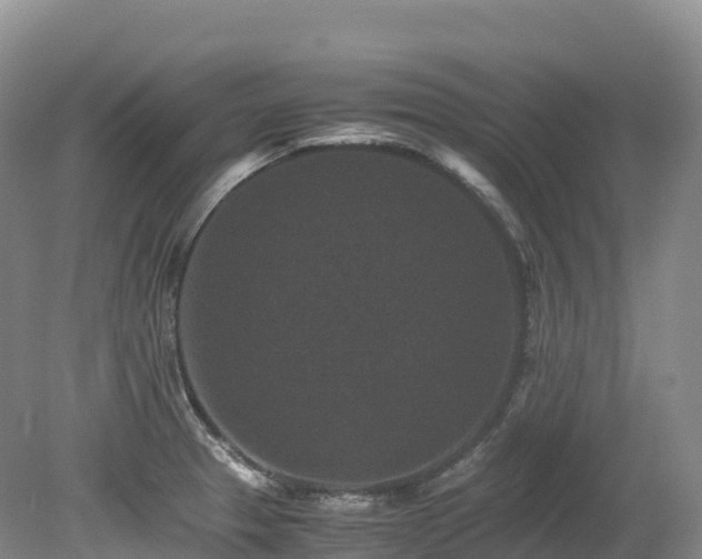 X0000080191329200612081417