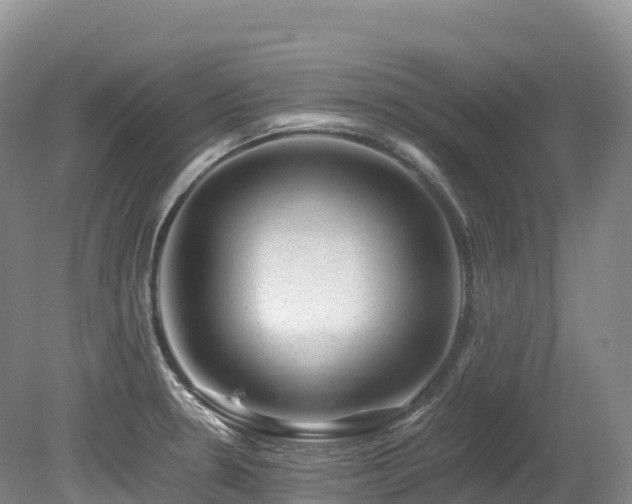 X0000080191330200612081417