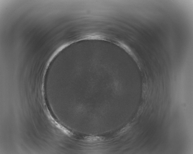 X0000080191331200612081417