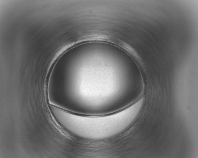 X0000080191332200612081417