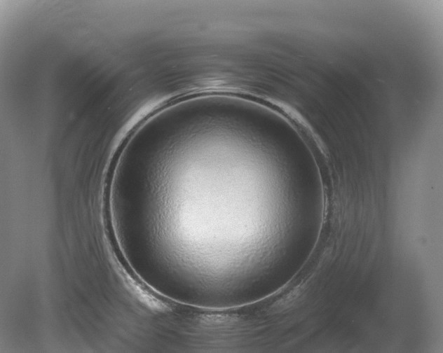 X0000080191333200612081417
