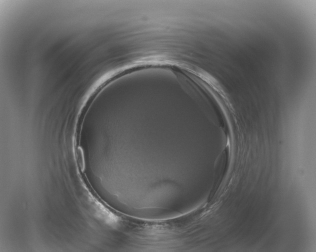 X0000080191334200612081417
