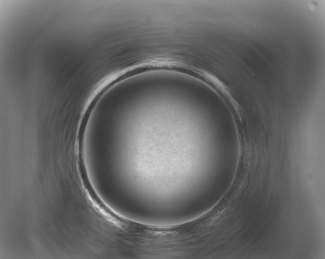 X0000080191335200612081417
