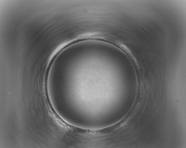 X0000080191336200612081417