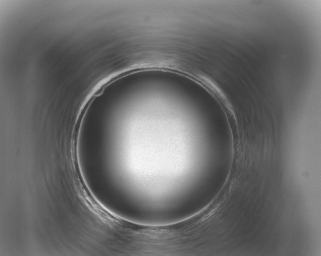 X0000080191340200612081417