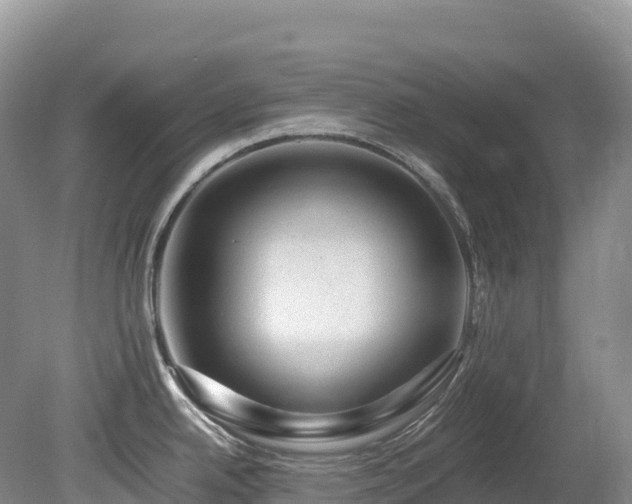 X0000080191342200612081417
