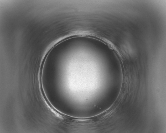 X0000080191343200612081417