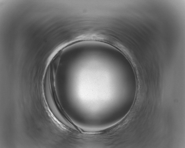 X0000080191344200612081417
