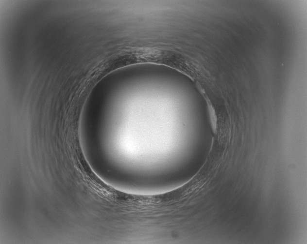 X0000080191345200612081416