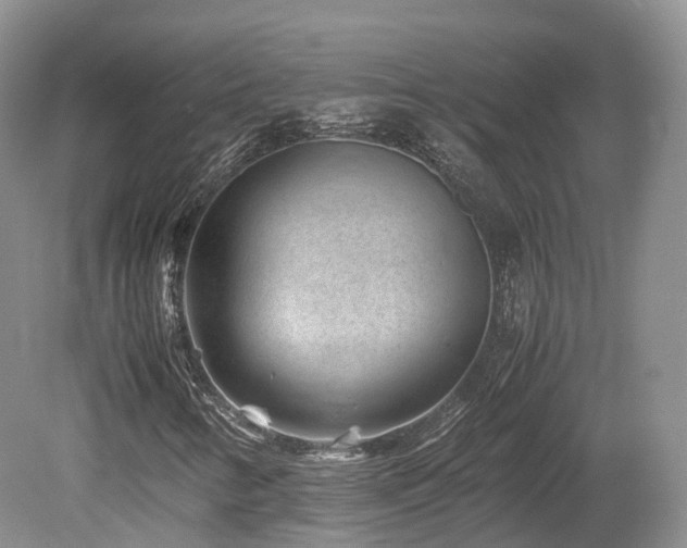 X0000080191346200612081416