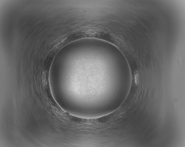 X0000080191347200612081416